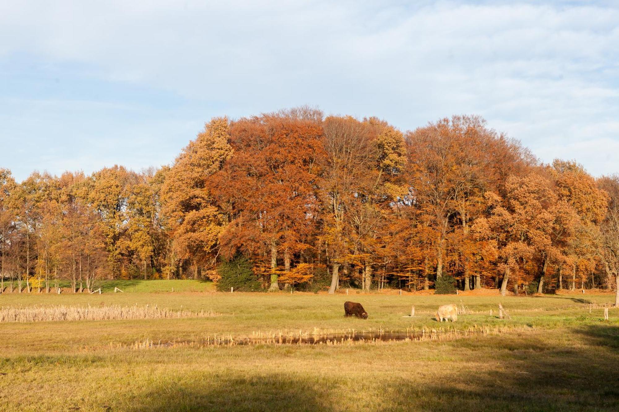 Hoeve Springendal Erf&Bron Hezingen エクステリア 写真