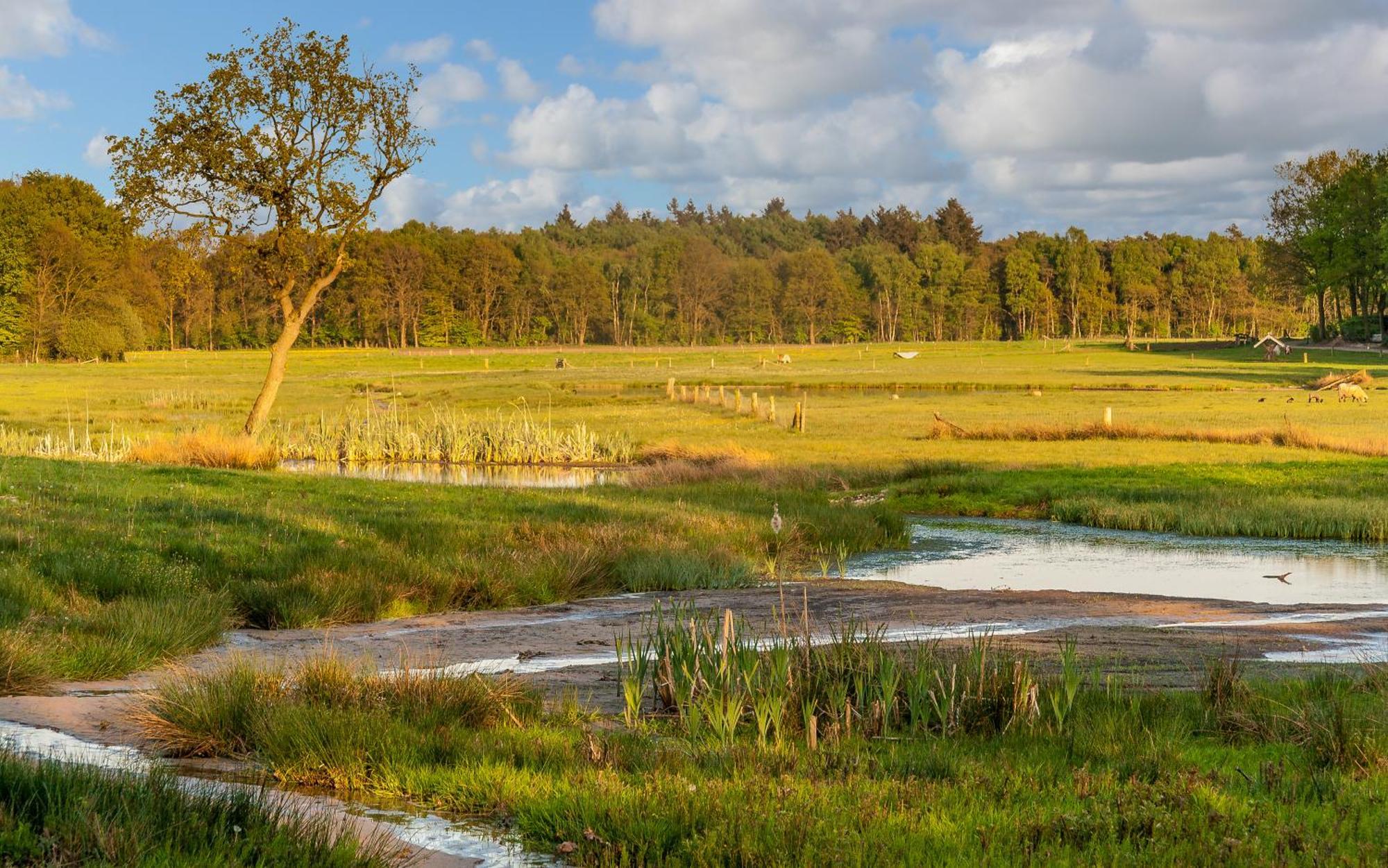 Hoeve Springendal Erf&Bron Hezingen エクステリア 写真