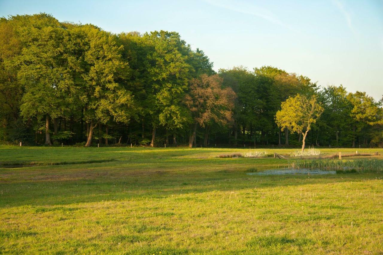Hoeve Springendal Erf&Bron Hezingen エクステリア 写真