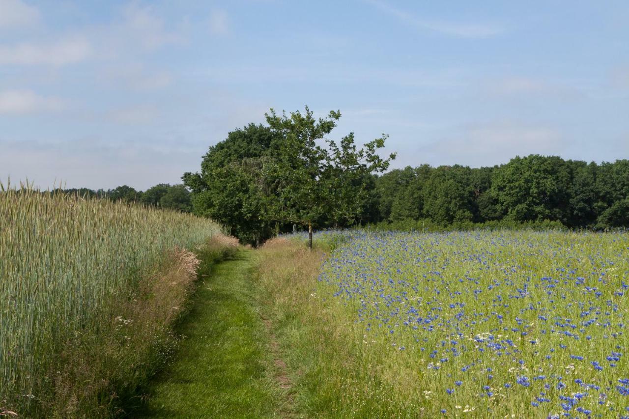 Hoeve Springendal Erf&Bron Hezingen エクステリア 写真